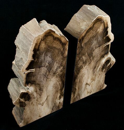 Large Sequoia Petrified Wood Bookends - Oregon #4487